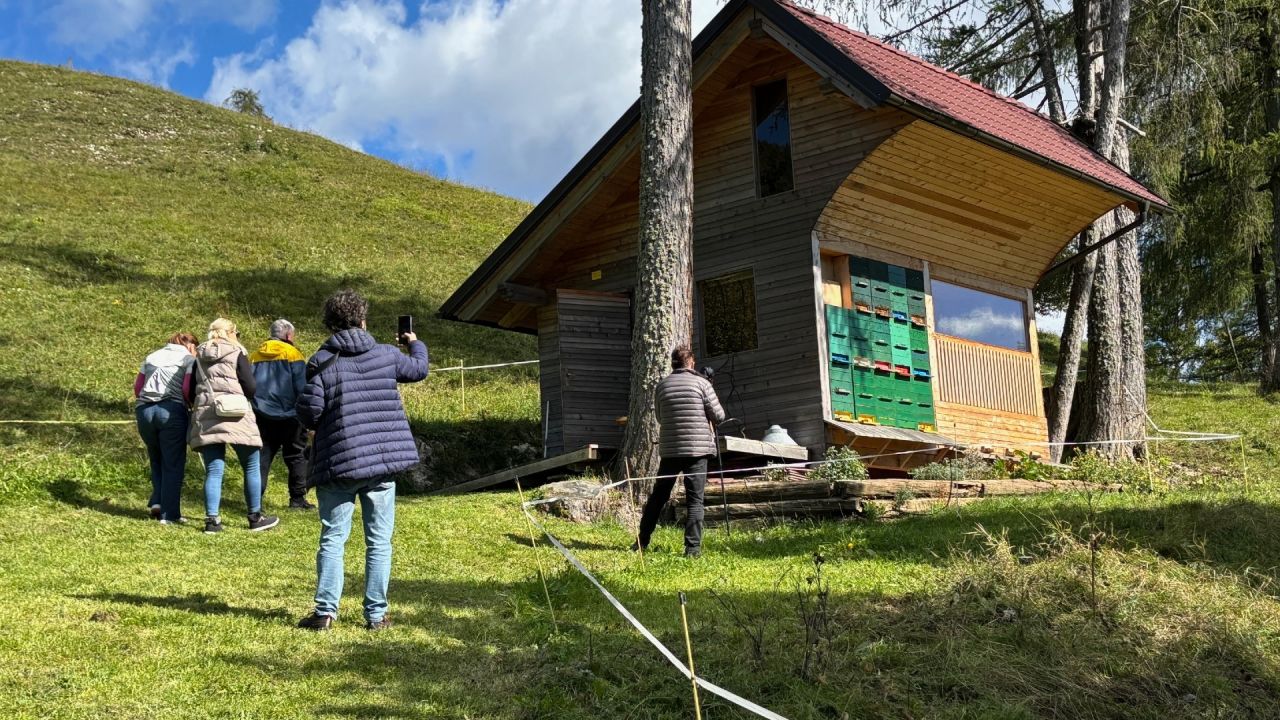 Na kmetiji nudijo tudi apiterapijo.