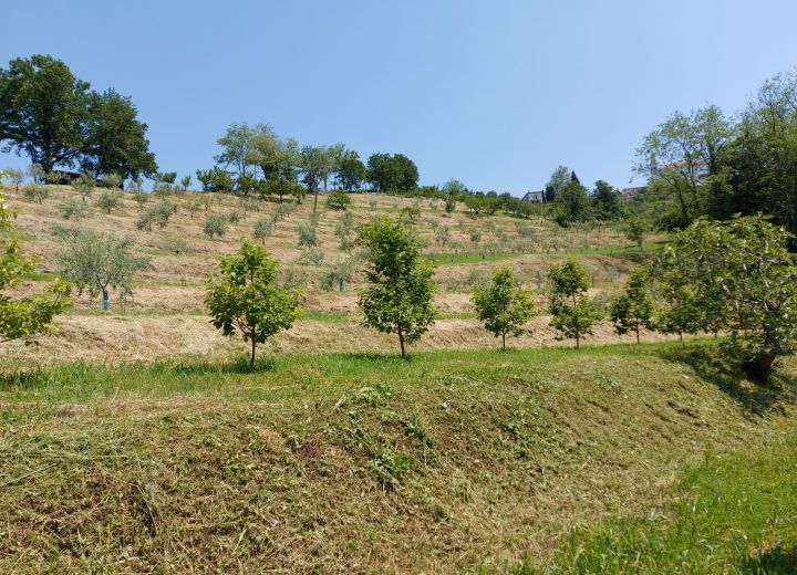 THE ŽELJAN FARM