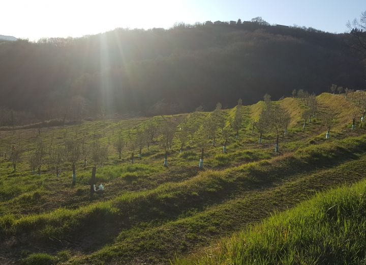 THE ŽELJAN FARM