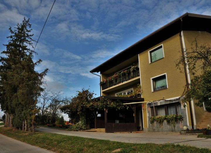 Bogša