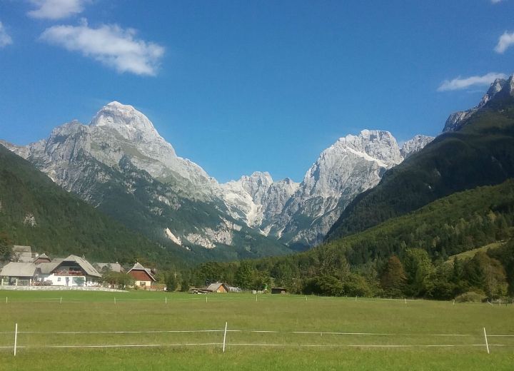 ČERNUTA