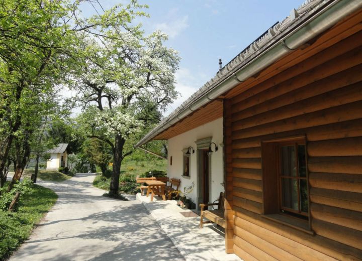 DOLINAR- KRAINER