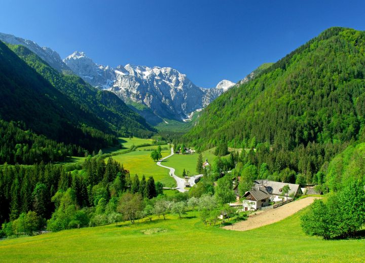 ŽIBOVT
