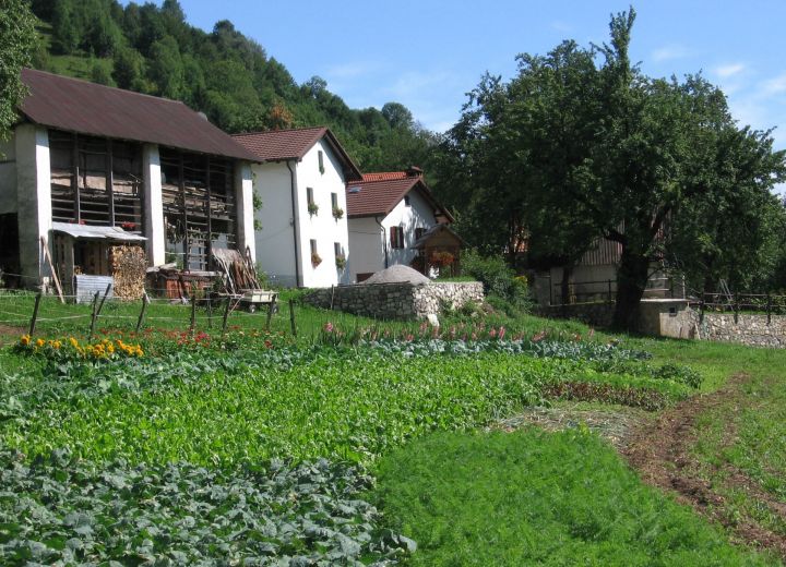 PRI LOVRČU