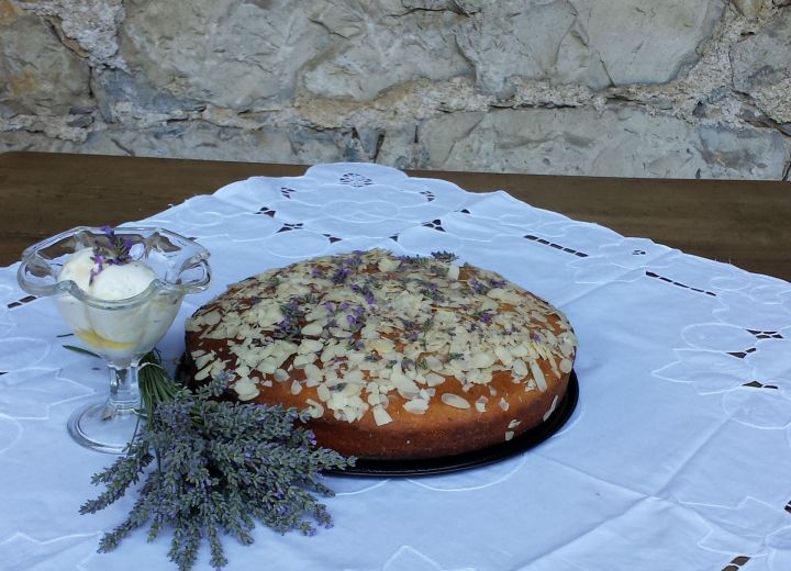 DOMAČIJA GROFIJA