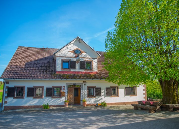 DOMAČIJA GROFIJA