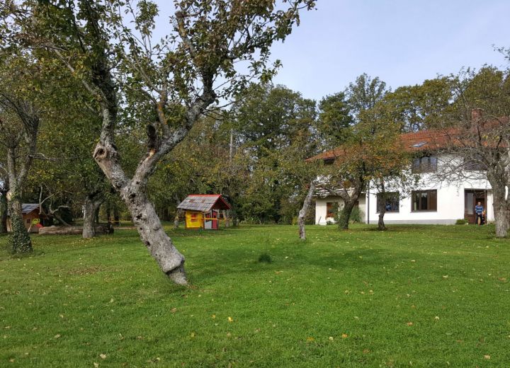 JENEZINOVI