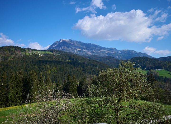 DOMAČIJA METUL