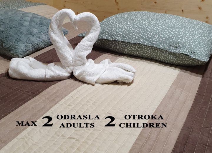 NA KONCU VASI