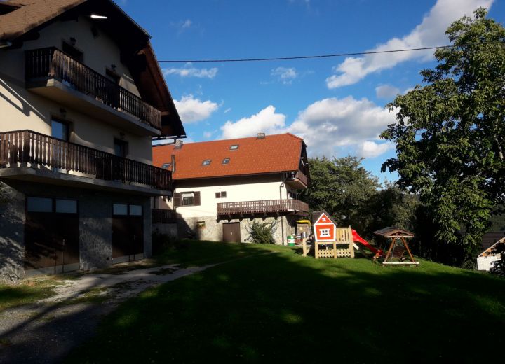 PAČNIK