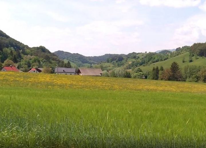Roštohar