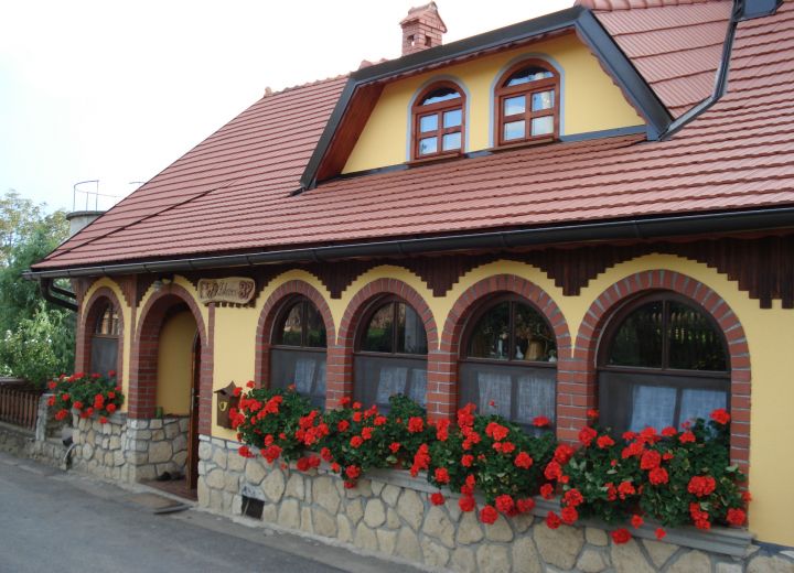 SLANIČEVI