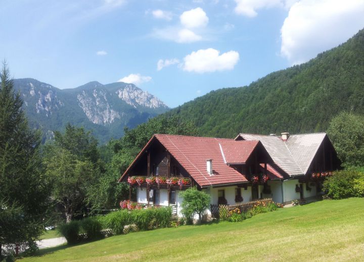 ZGORNJI ZAVRATNIK