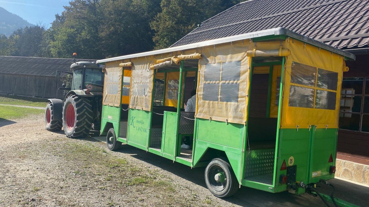 Do obore damjakov smo se odpeljali s turističnim vlakcem.