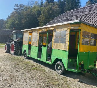 Do obore damjakov smo se odpeljali s turističnim vlakcem.