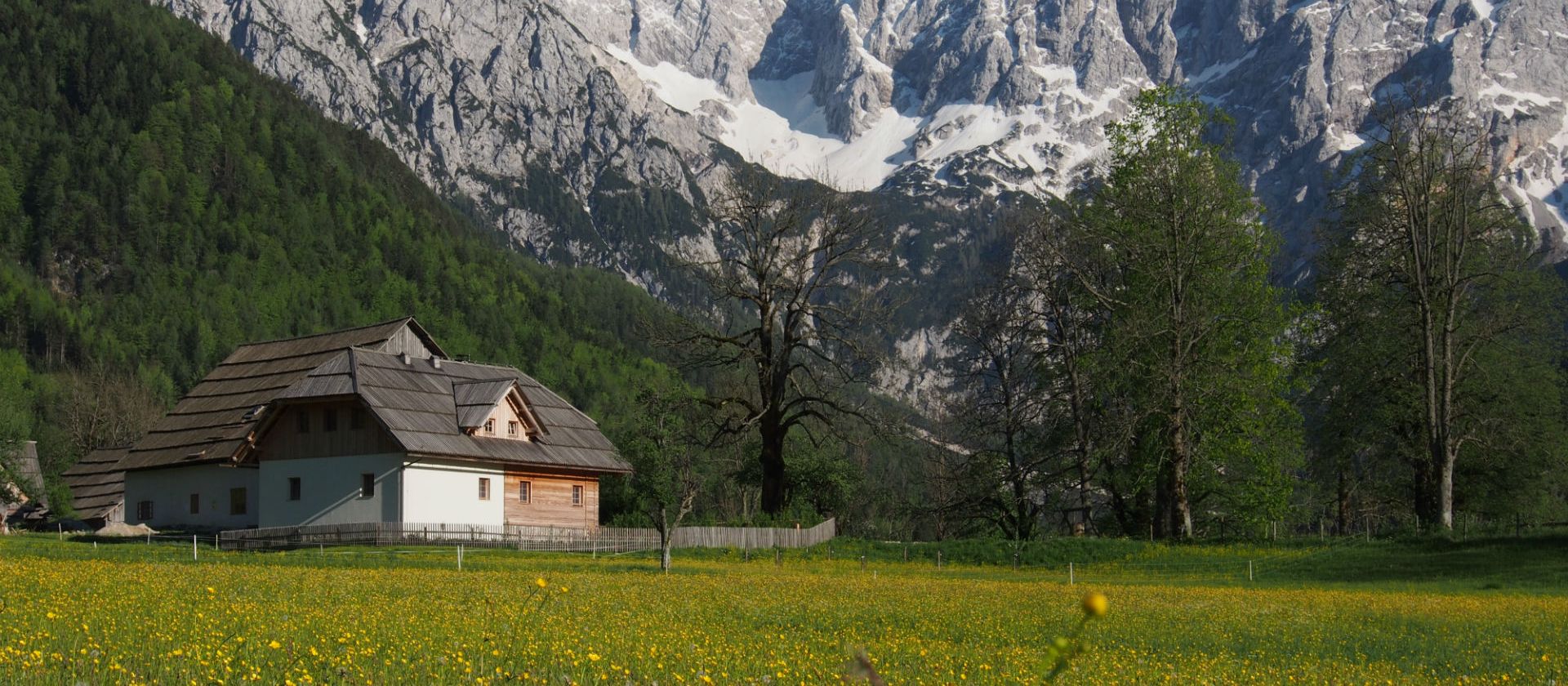 Poroka v naravi - Homestead Šenkova domačija