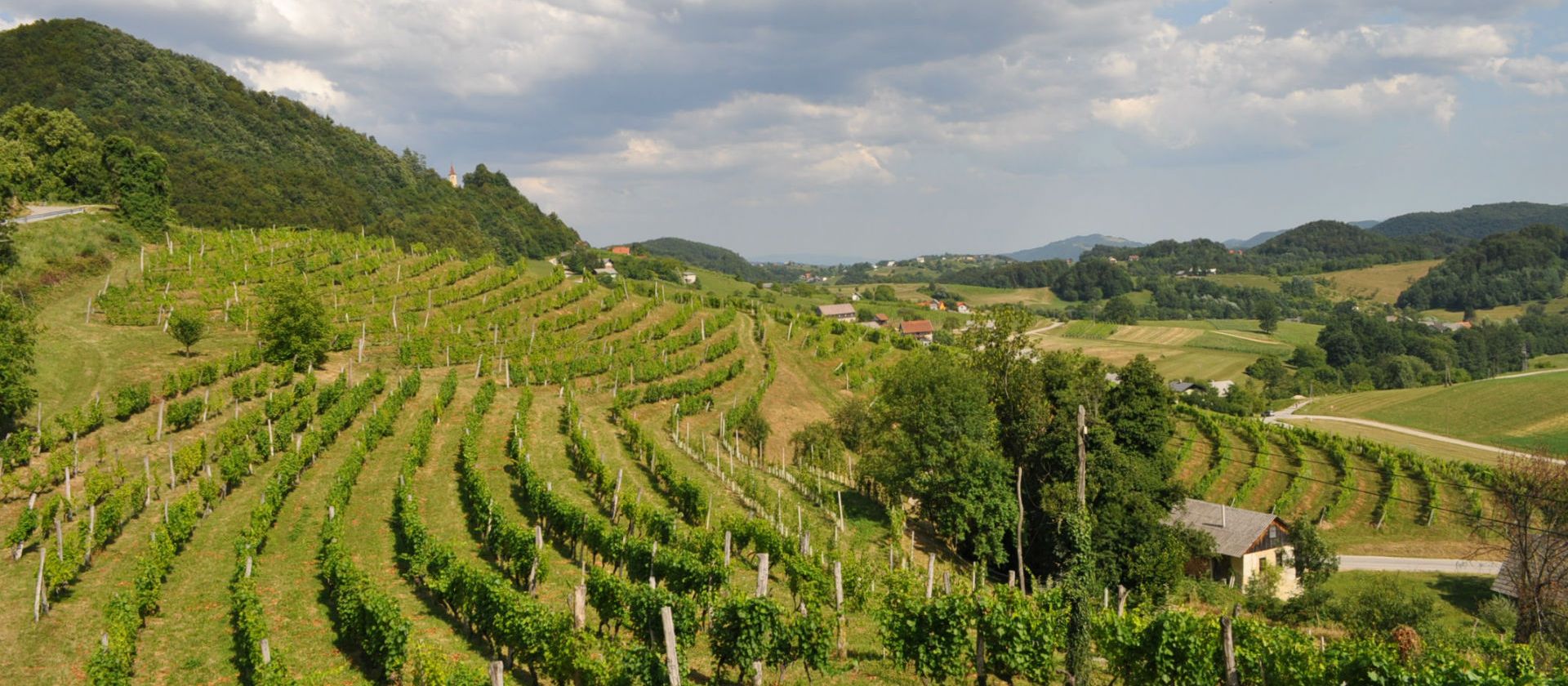 Wedding in Nature - Grobelnik Farm